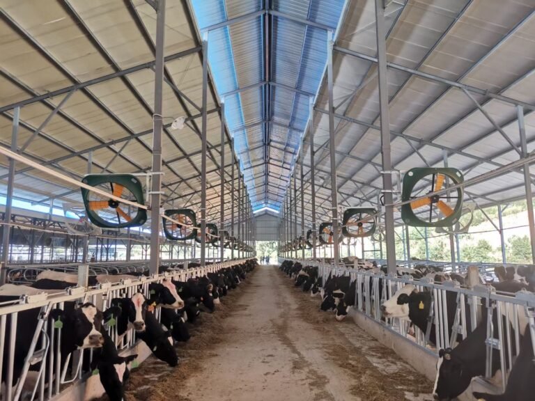 The effect of body cleanliness (hygiene)score on some criteria used in the detectionmilk quality in dairy cattle