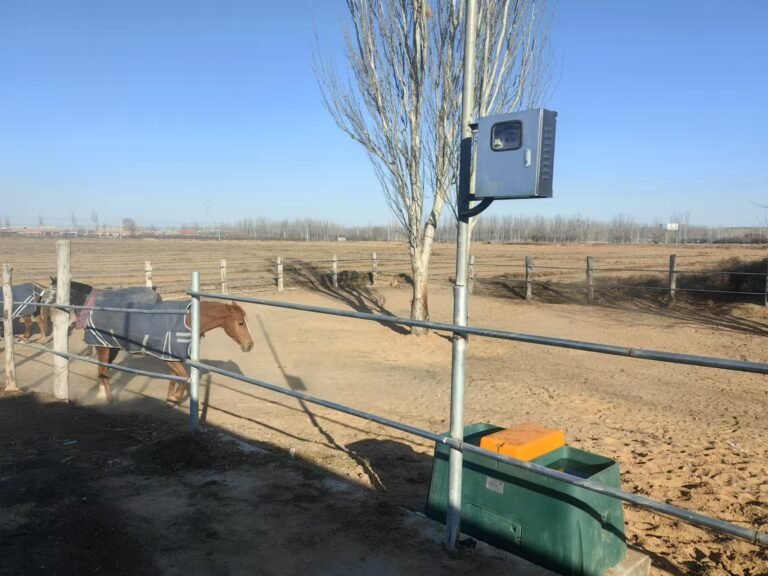 Effect of drinking water temperature on water intake, feed intake and milkproduction of crossbred dairy cattle at high altitude temperate Himalayas