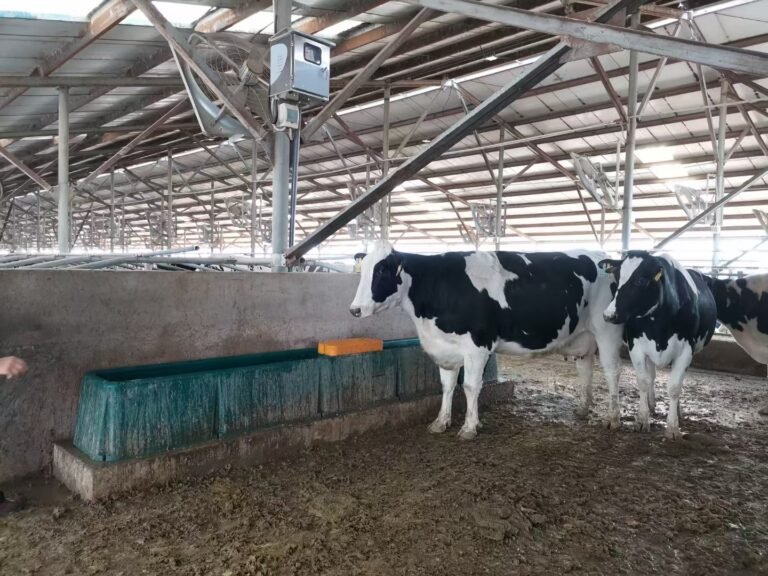 Effect of drinking water temperature on water intake and performance of dairycalves